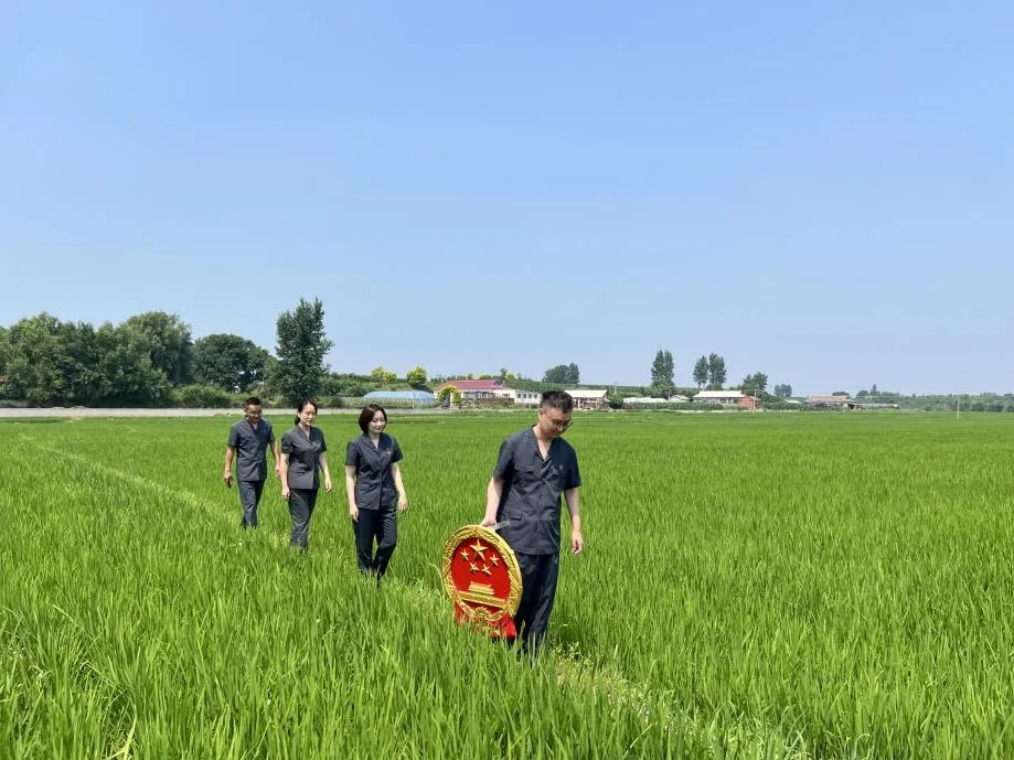 206家法庭扎根乡野！吉林法院把司法服务送到群众身边 